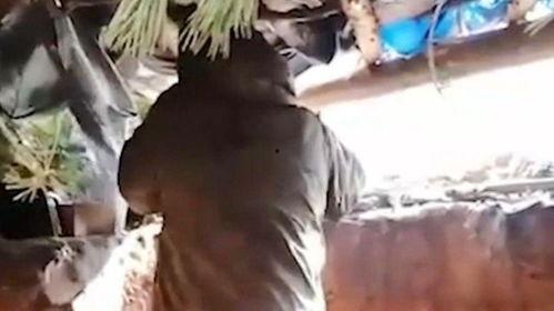 伞兵爆料最新动态视频,揭秘神秘训练与实战演练  第3张